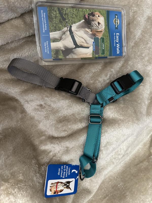3-part strap configuration keeps your dog safe and secure