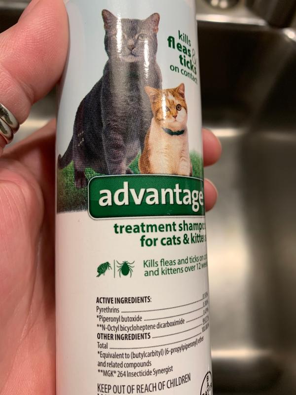 Advantage Elanco Cat Kitten Flea Tick Shampoo 8 oz