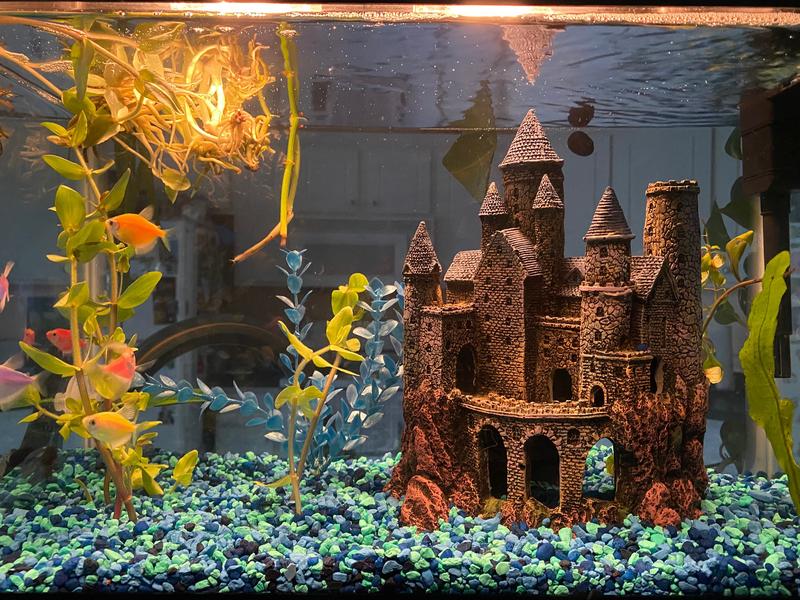 Penn Plax Large Magical Castle Aquarium Ornament Petco