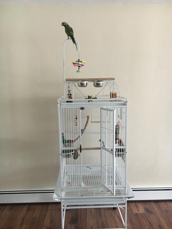 24x24 on sale bird cage