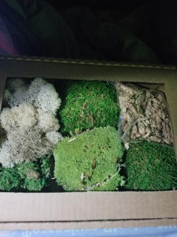 In the box.