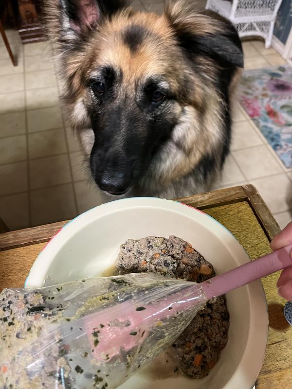 EveryYay Pink DualPurpose Dog Food Spatula & Can Opener