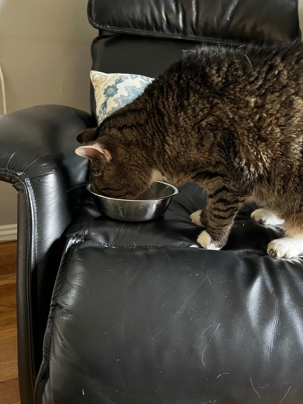 Tiki Cat Silver Comfort Chicken & Chicken Liver Wet Recipe for Cats, 0.