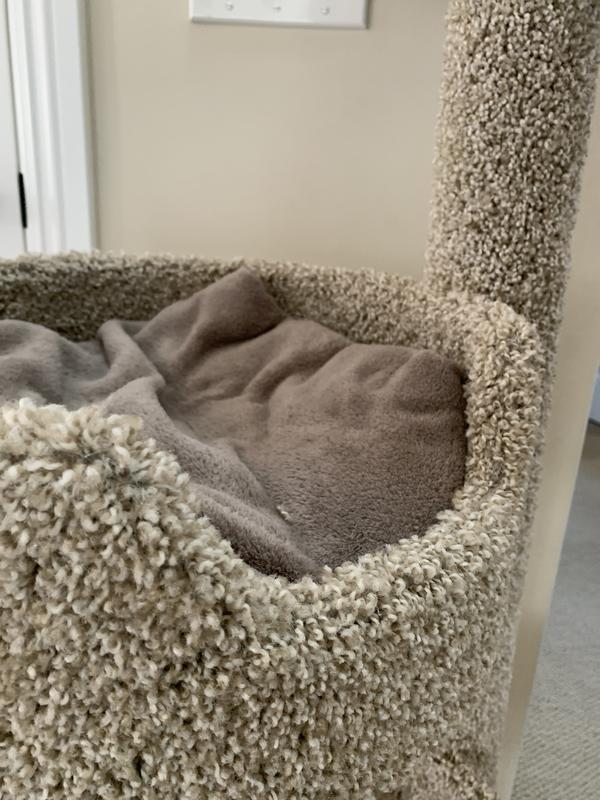 Blanket in bed