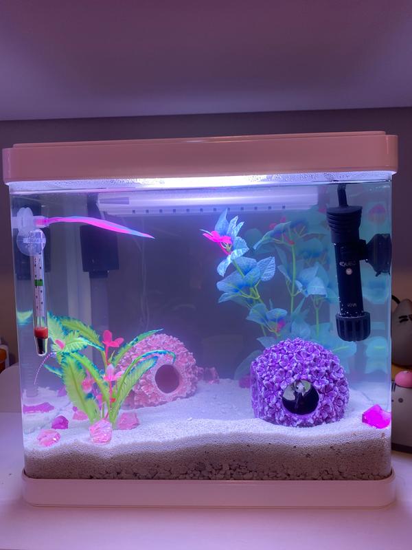 imagitarium 5.2 gallon freshwater aquarium filter