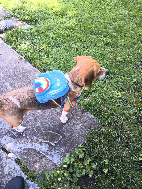 YOULY Pride Rainbow Dog Backpack for Small/Medium Dogs