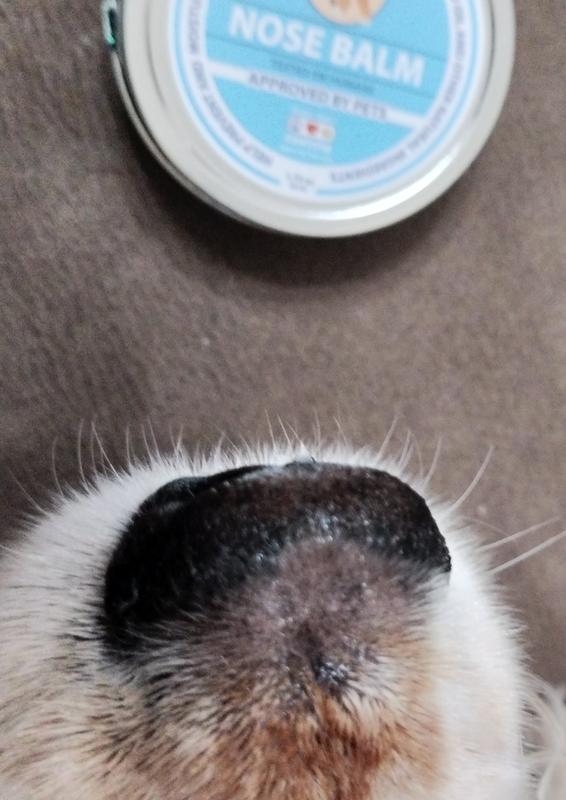 Petco nose outlet butter