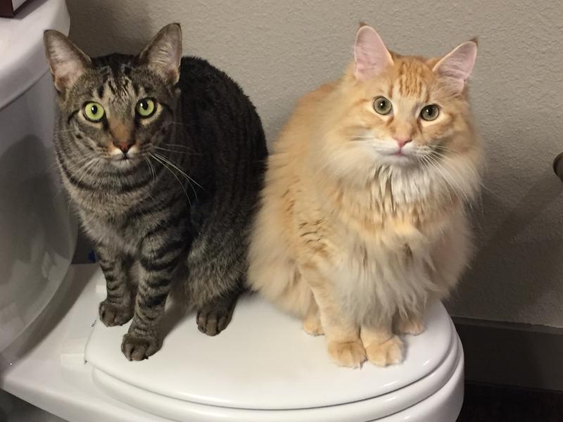 Trouble Brothers