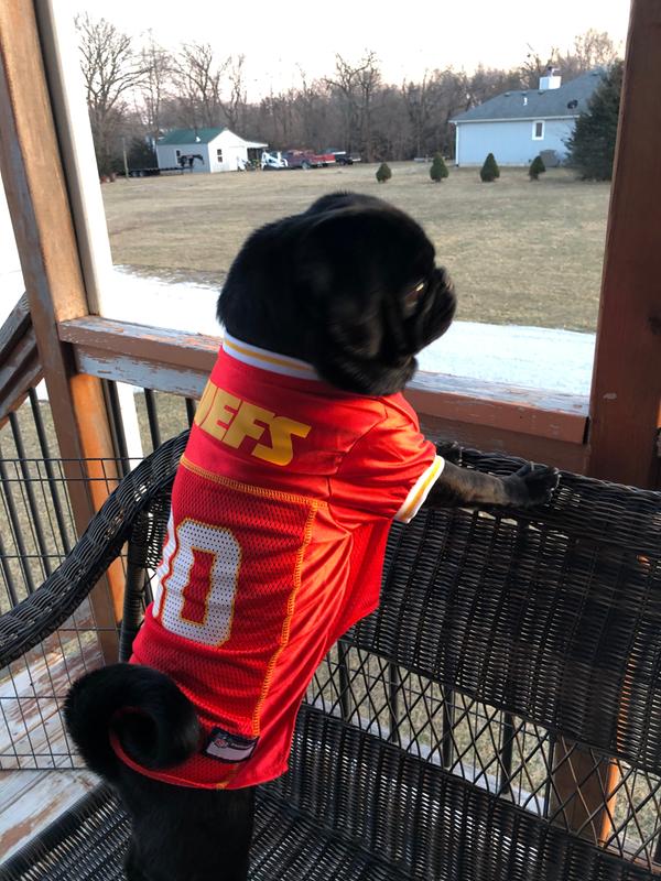 : Pets First KCC-4145-LG Kansas City Chiefs Mesh Jersey : Pet  Supplies