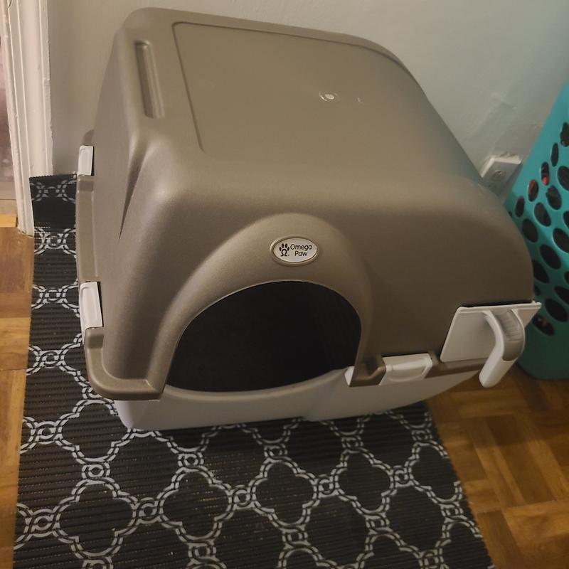 Photo - commentaire 3.