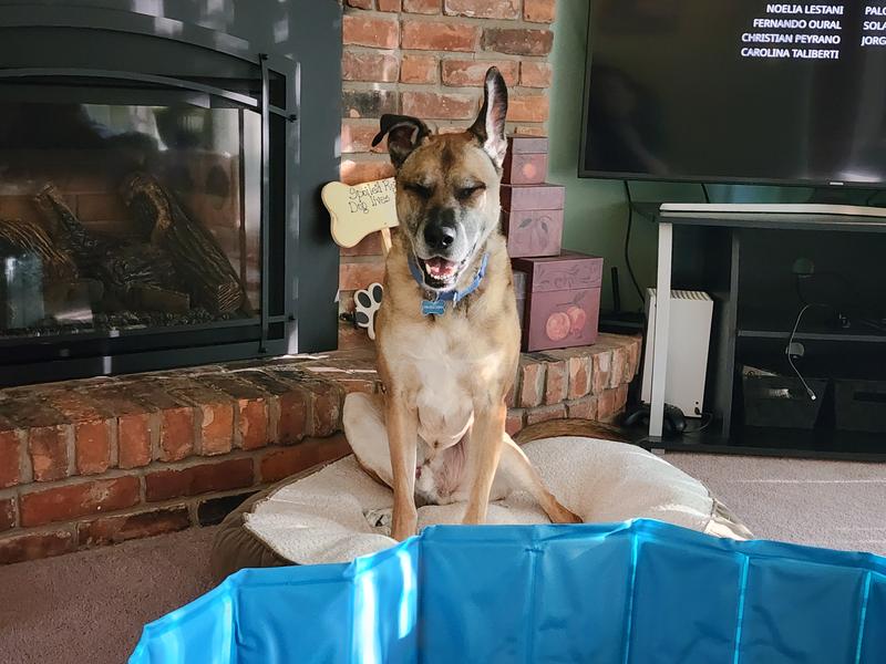 Ready to take a dip