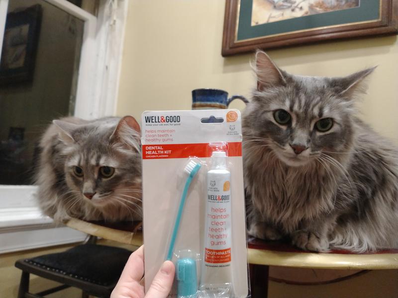 Well Good Cat Dental Health Kit with Chicken Flavored Toothpaste 2.5 oz. Petco