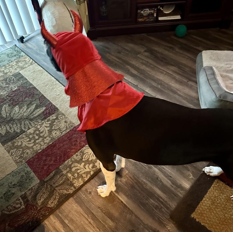 Super devil hero