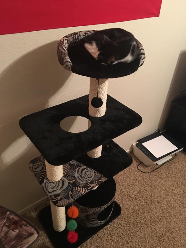 Midwest Cat Tree, Black, 50.5" H Petco