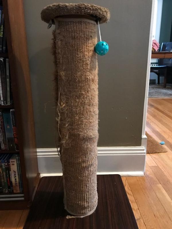 "New" (1-yr-old) scratching post