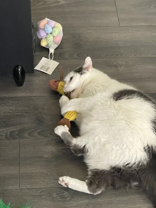 Photo - commentaire&nbsp;5.