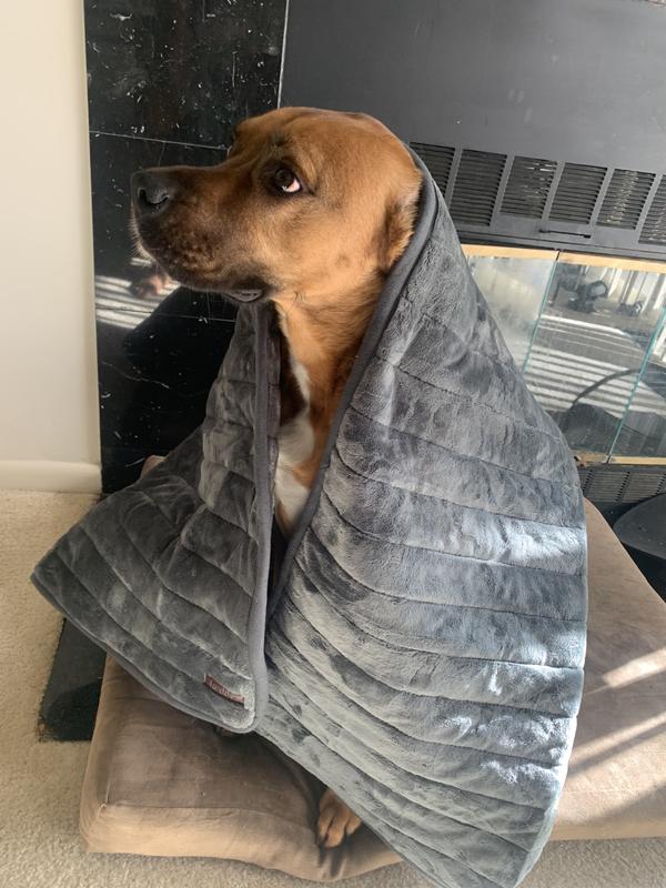 Weighted Blanket For Dogs