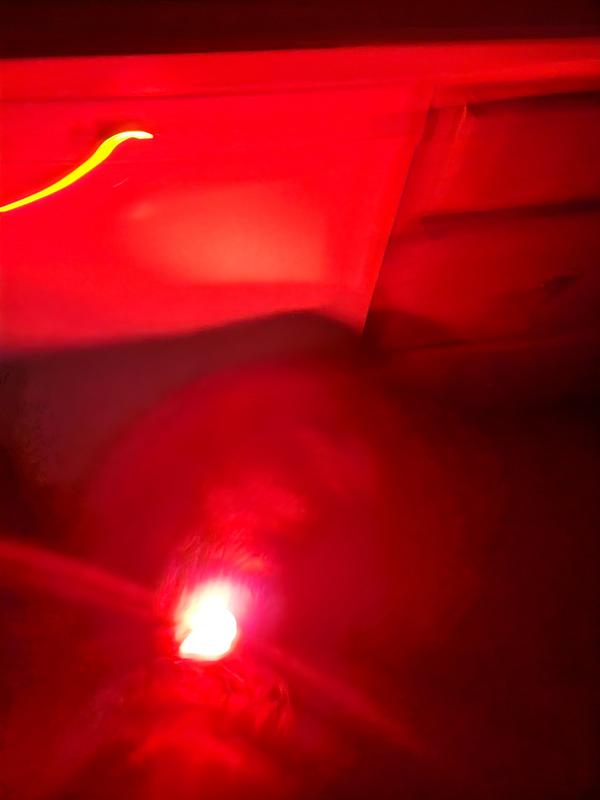 YOULY Red LED Dog Safety Beacon & Collar Light