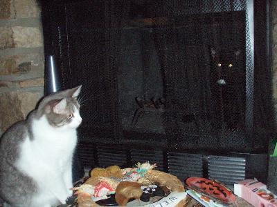 Garfield(left) Jack is in the fireplace, you can barely see him...