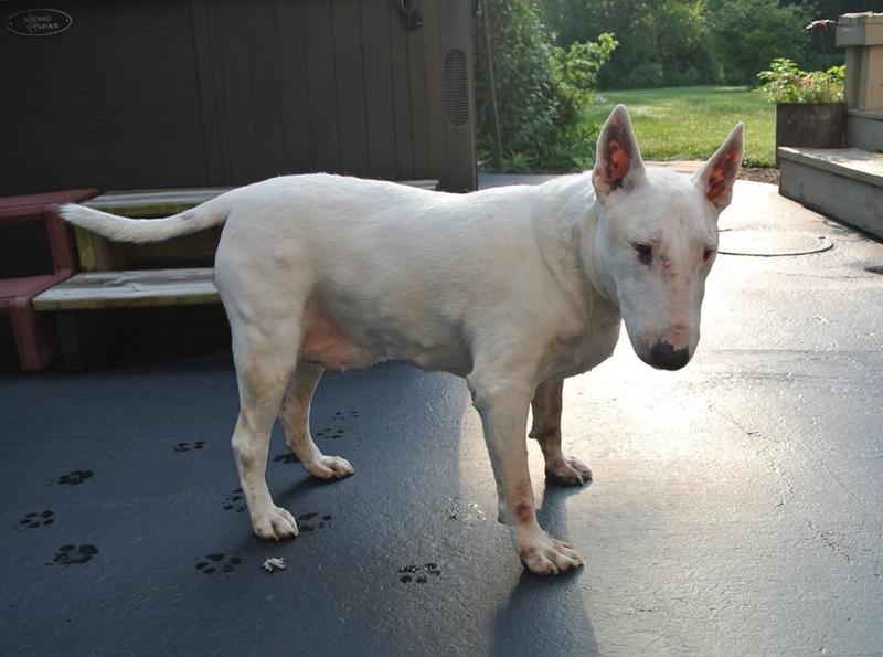 Dirk, 14 y/o