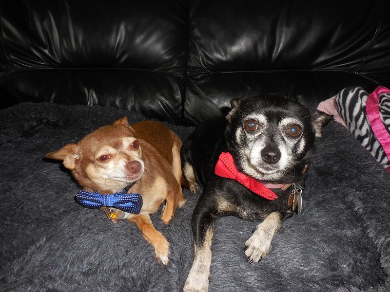 Lexi and Adi