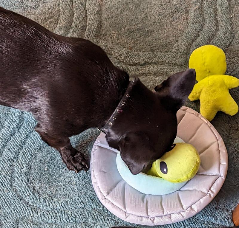 Digging right in!