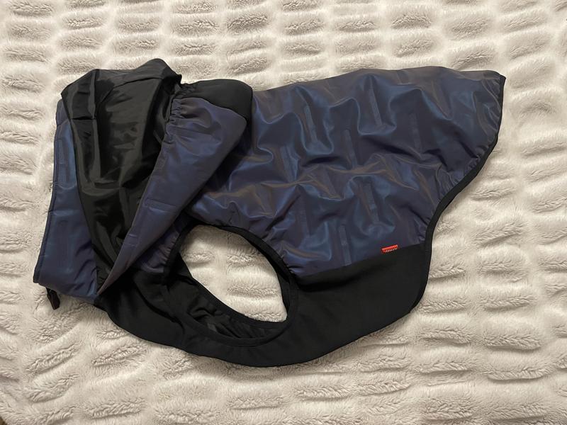 With hood pulled back