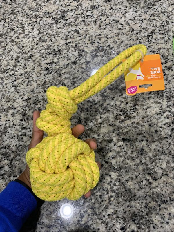 Holding it in my hand for a size comparison. It’s a great size