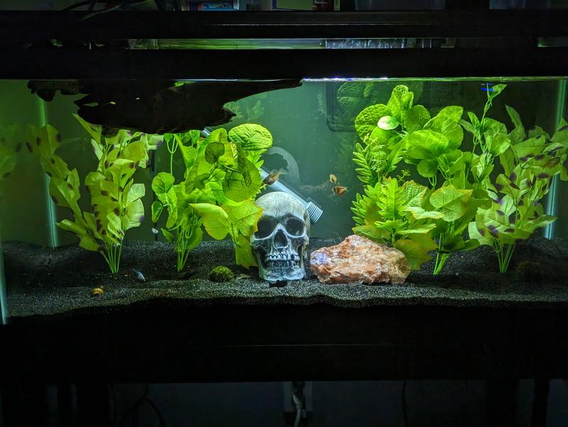 Imagitarium Silk Aquarium Plant MultiPack for Fish