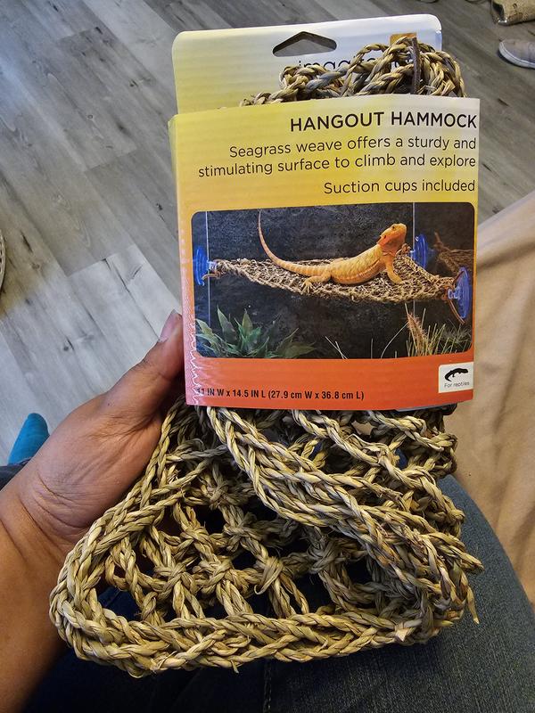 Reptile hammock hot sale petco