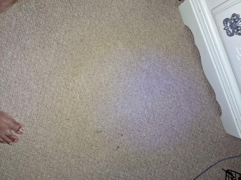 Carpet with lights on.