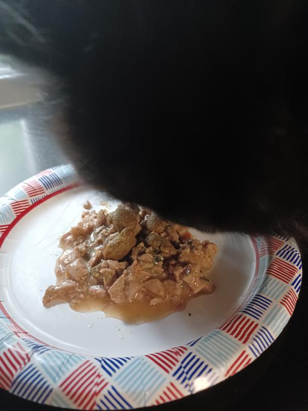 My black fuzzy cat eating his supplement
