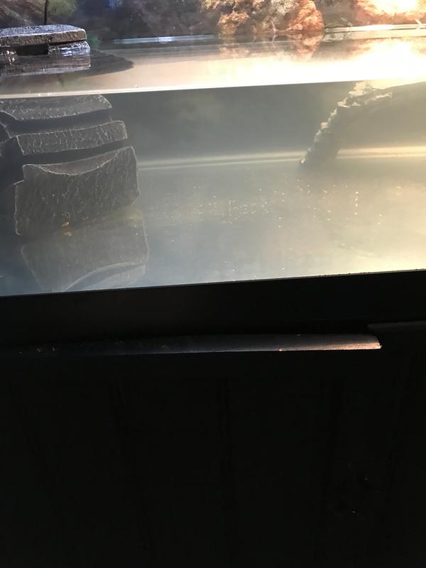 Zilla Basking Platform & Small Turtle Filter Combo from Petco