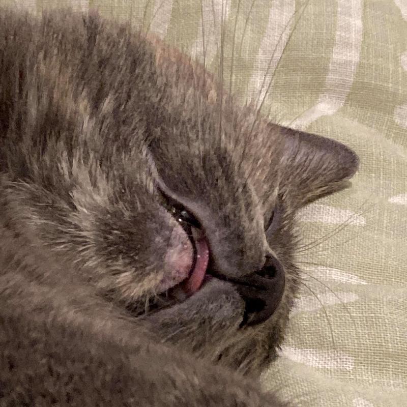 Out like a light