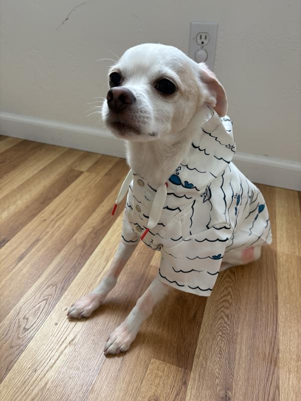 Dashing boy