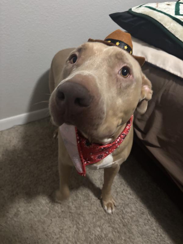Do you think I look cute?