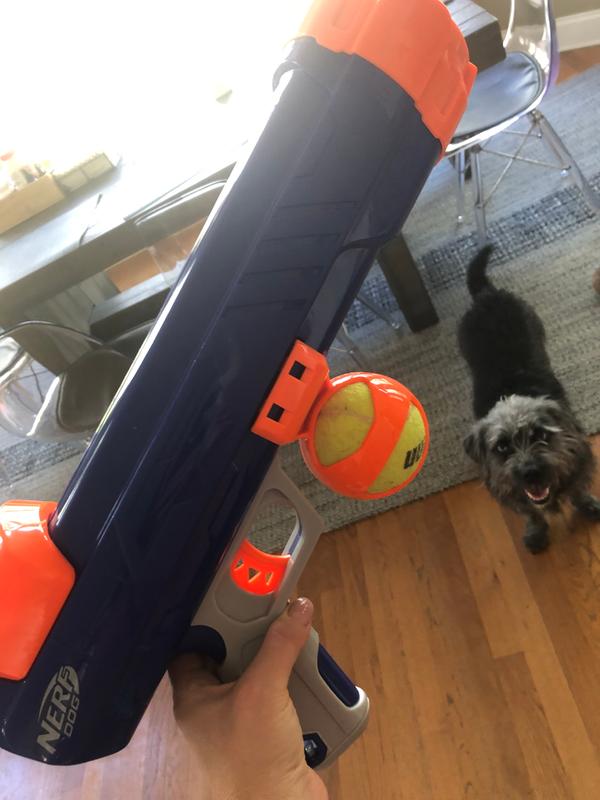 Photo - commentaire&nbsp;3.