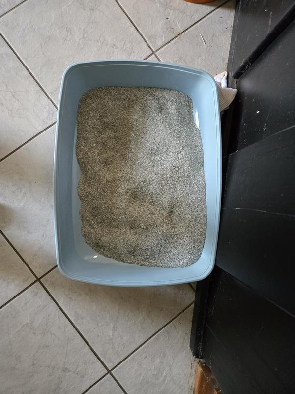 The litter box with litter in it
