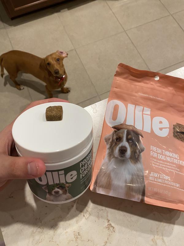 Ollie hearty beef dog food sales