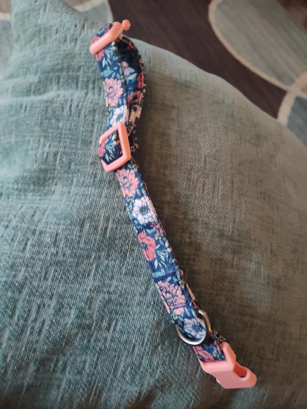 YOULY The Happy-Go-Lucky Multicolor Floral Dog Collar, Small