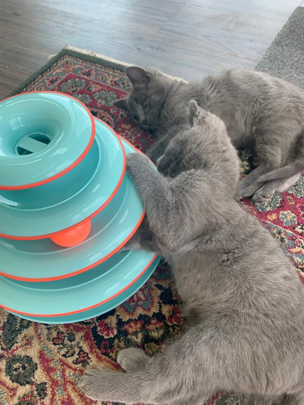 Petstages chase meowtain sale