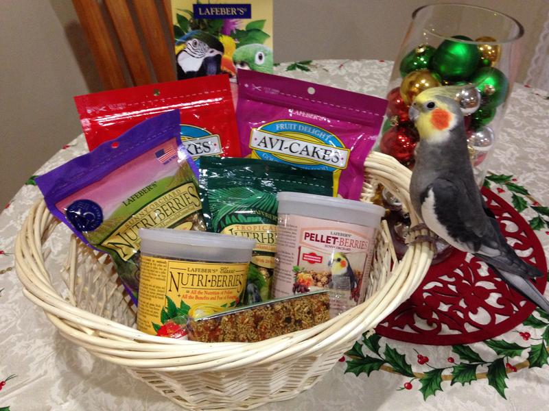 Baby with his Lafeber basket of goodies!
