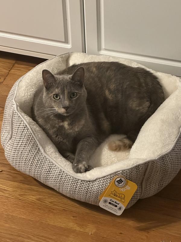 Cozy in the new bed
