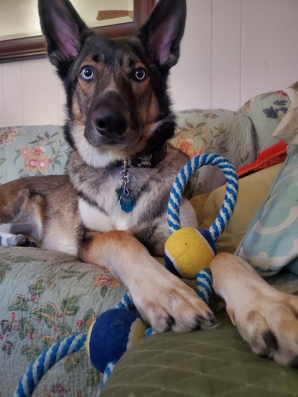 He doesn't like to share his toy