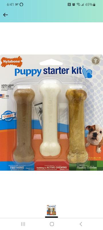 Nylabone puppy starter packs puppy chew toys store