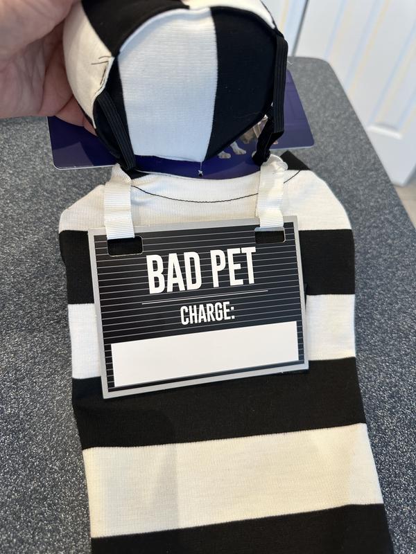 Write your pet’s “crime”!