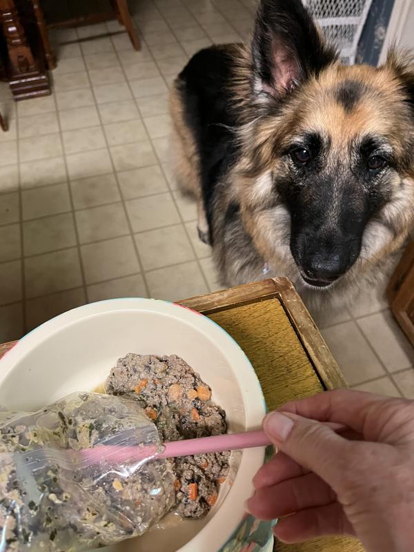 EveryYay Pink DualPurpose Dog Food Spatula & Can Opener