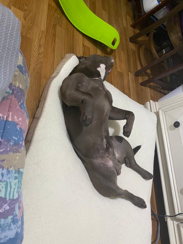 Photo - commentaire&nbsp;5.