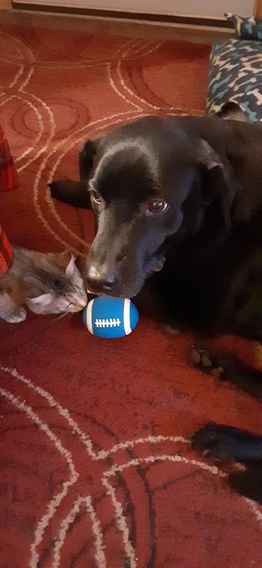 ...but ma I don't wanna share with the kitty!