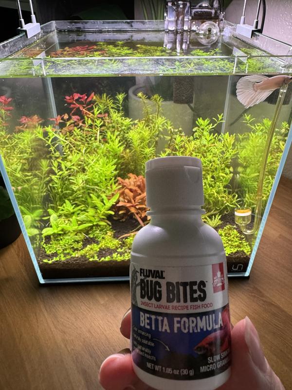 Fluval betta bug clearance bites